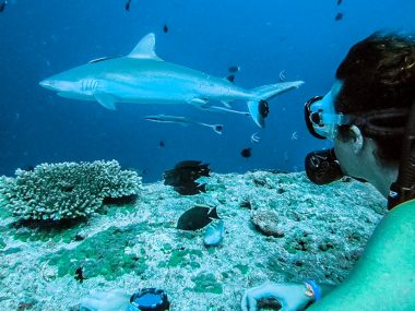 scuba diving the maldives cinnamon ellaidhoo (1 of 1)