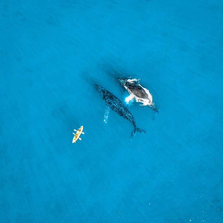 How Much Does It Cost To Travel Australia? 2023 Budget Breakdown