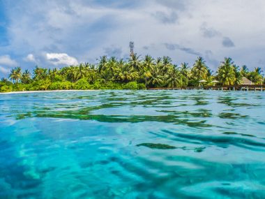 maldives surf guide surfing resorts local islands budget surf charter