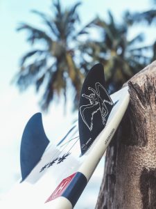 Palm Bay bali zephyr fins Chumlee firewire