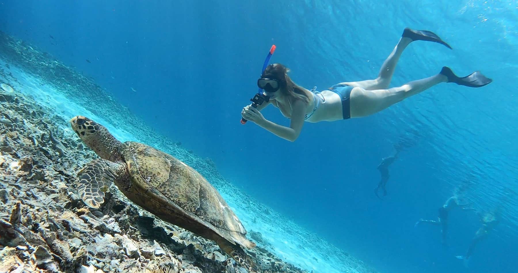 gopro underwater mounts