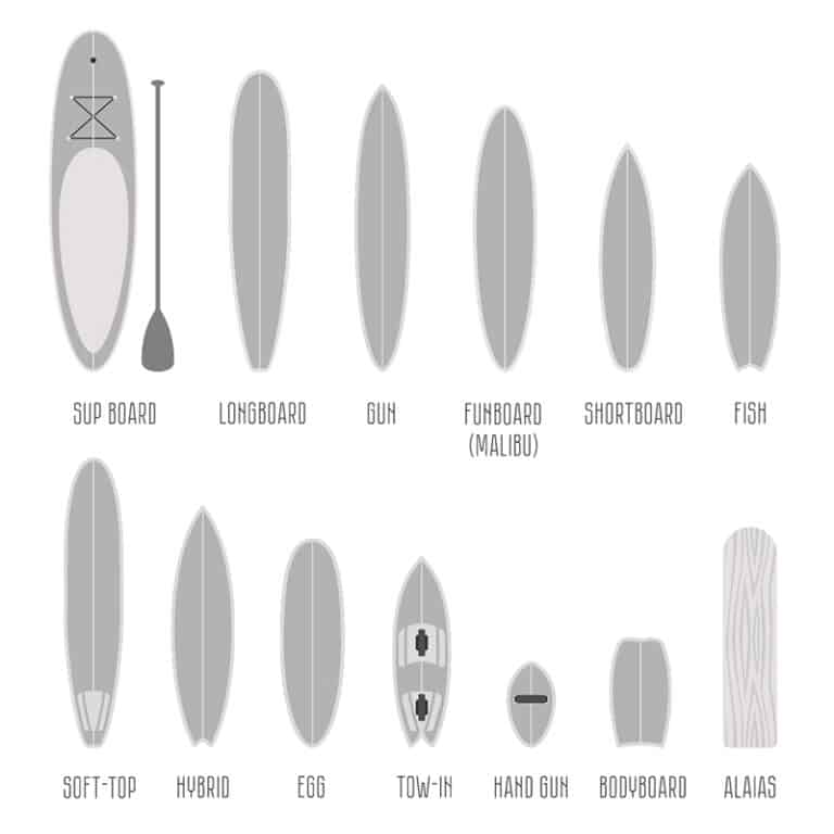 Different Surfboard Shapes Everything You Need To Know! Stoked For